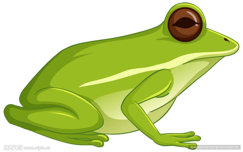 卡通青蛙