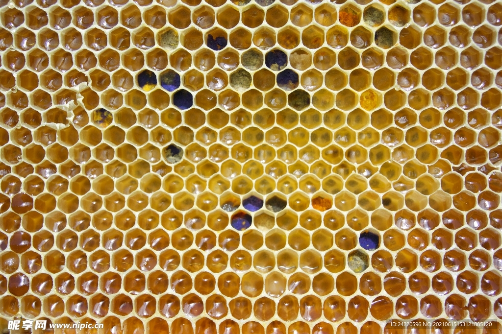 蜂巢蜜