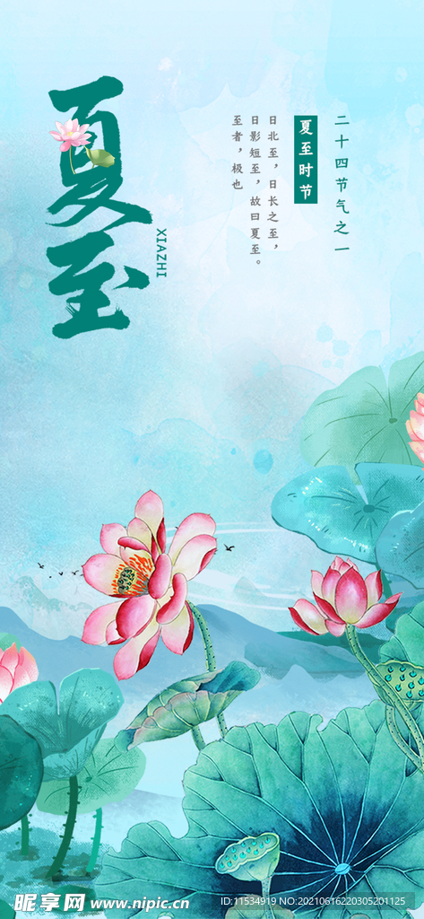 夏至节气海报