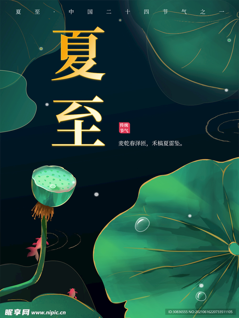 夏至海报 