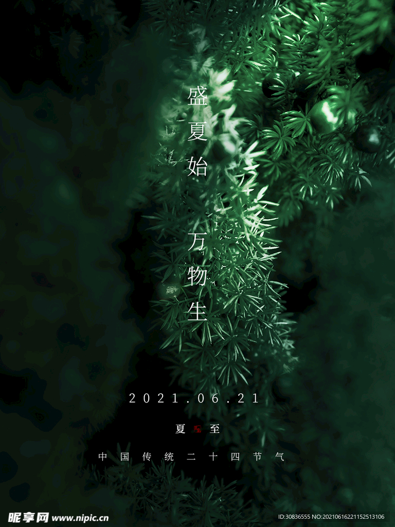 夏至海报 