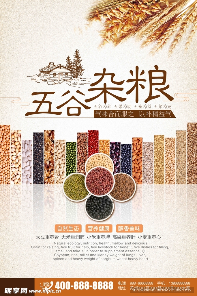 五谷杂粮海报粮食海报
