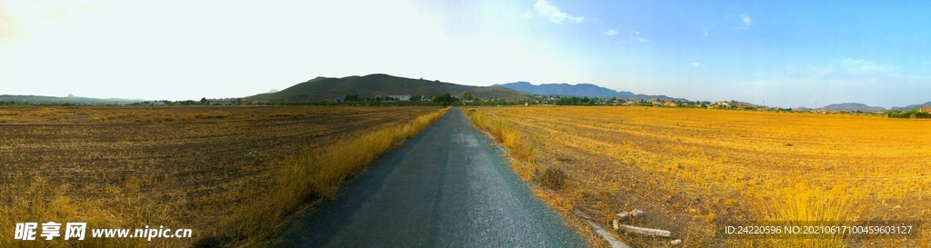 道路