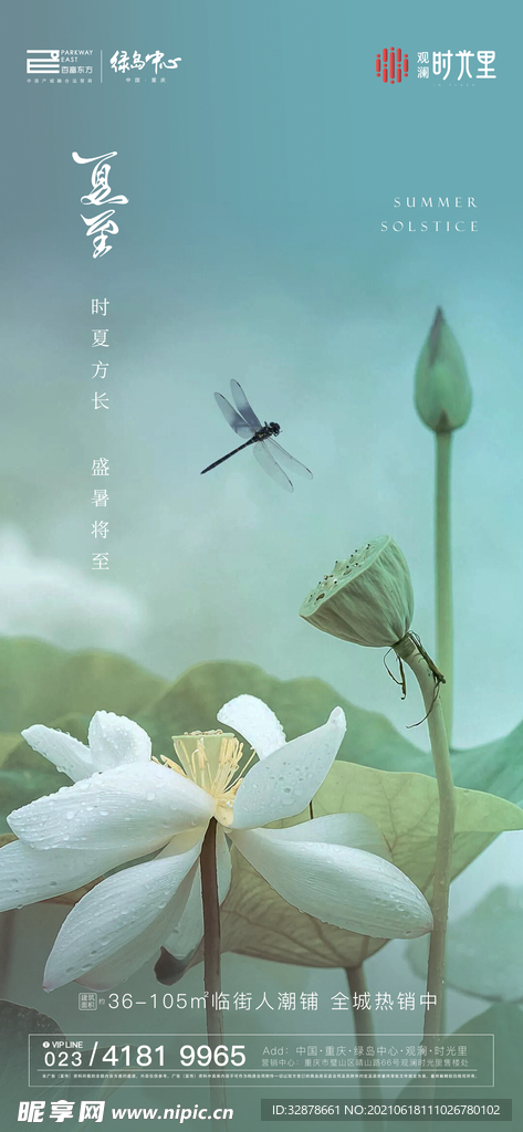 夏至海报荷花夏天房地产