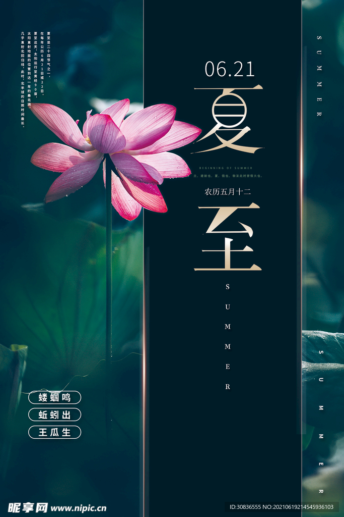 夏至海报