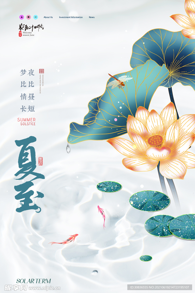 夏至海报 