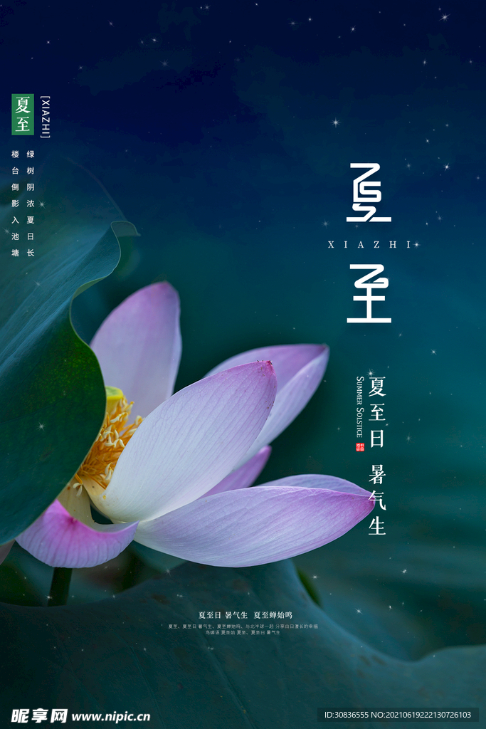 夏至海报 