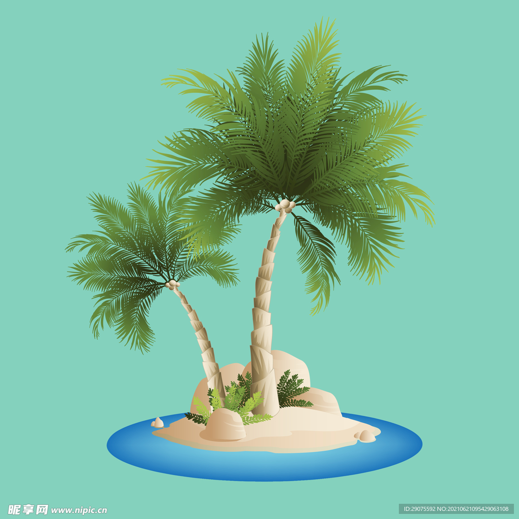 海岛椰子树
