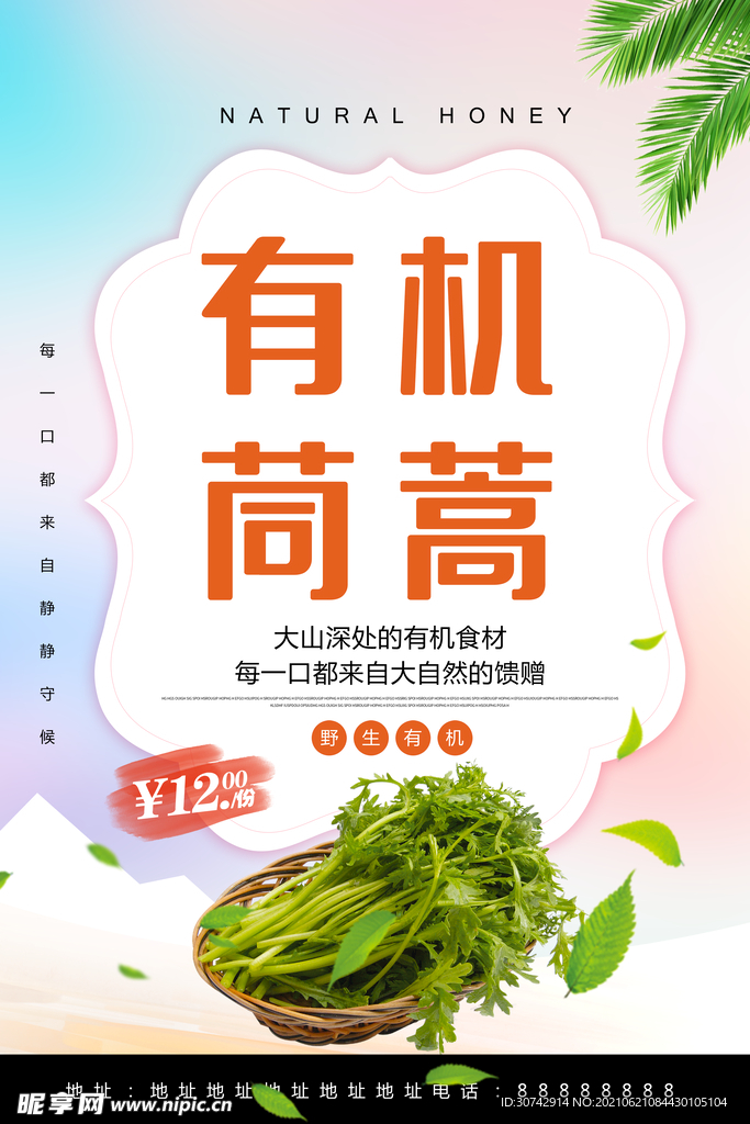 茼蒿