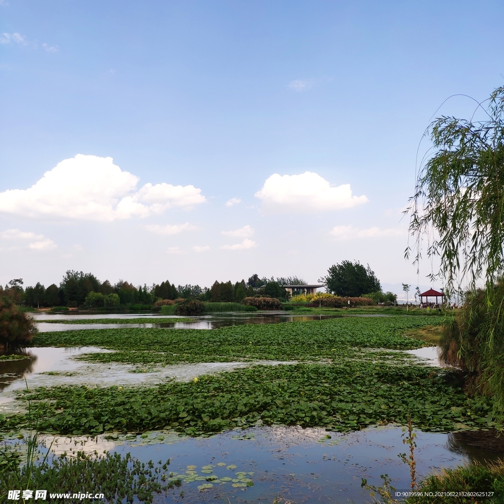 滇池湿地风景区