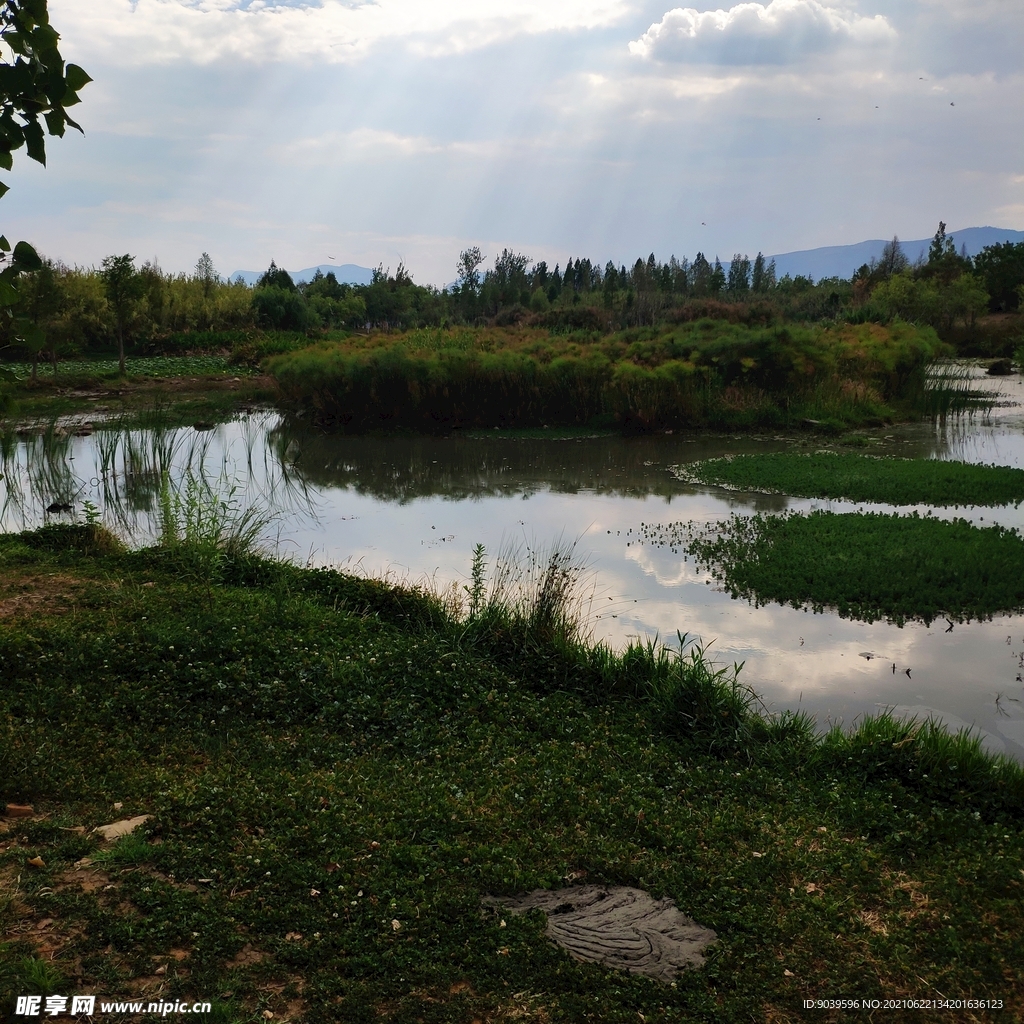 滇池湿地一角