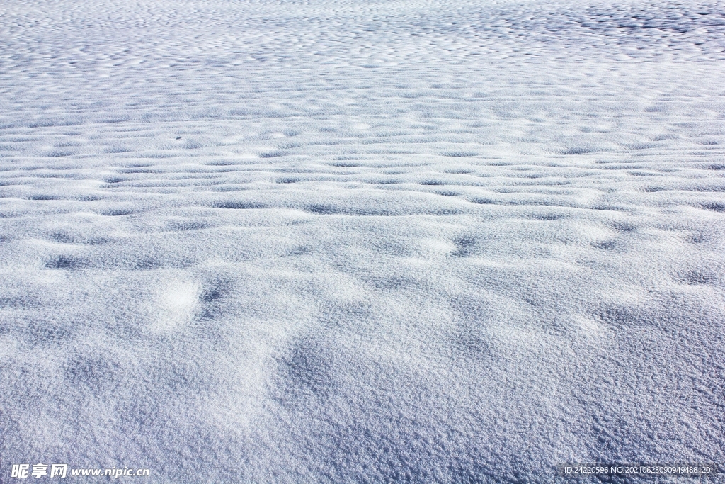 雪地