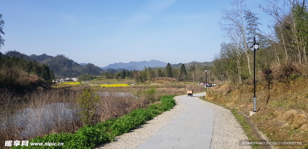 安徽 西递田野