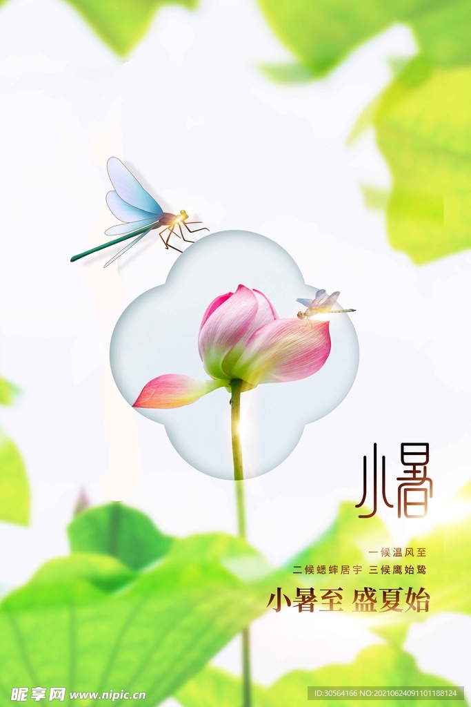 小暑节气传统活动宣传海报素材