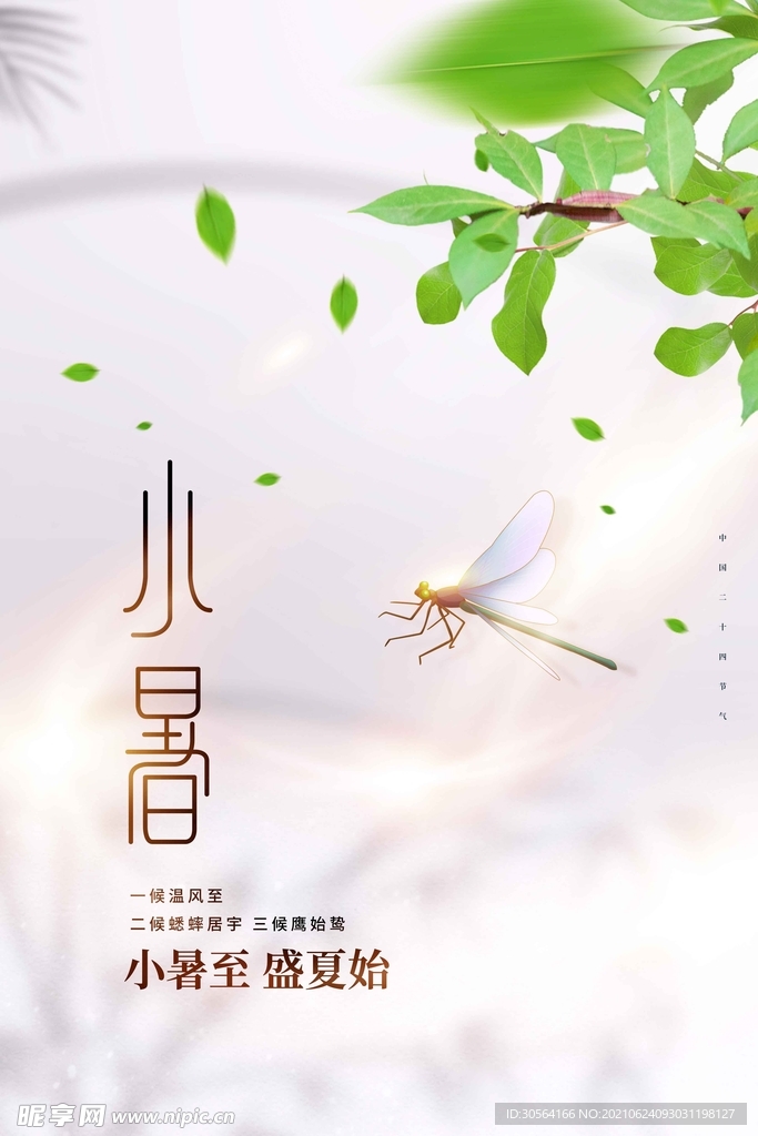 小暑节气传统活动宣传海报素材