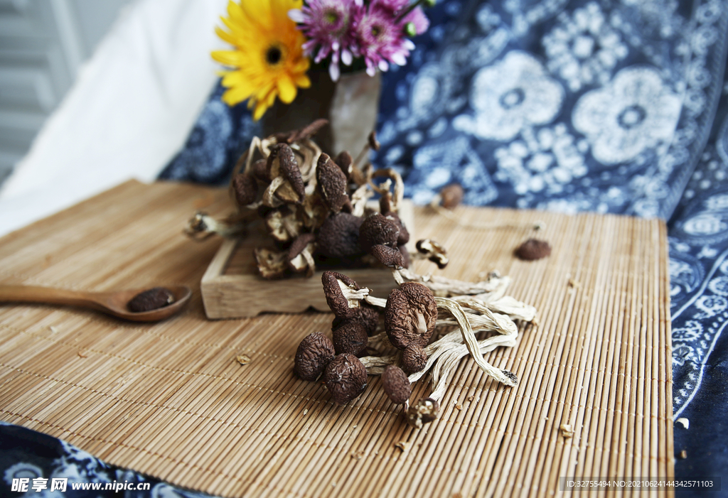 茶树菇