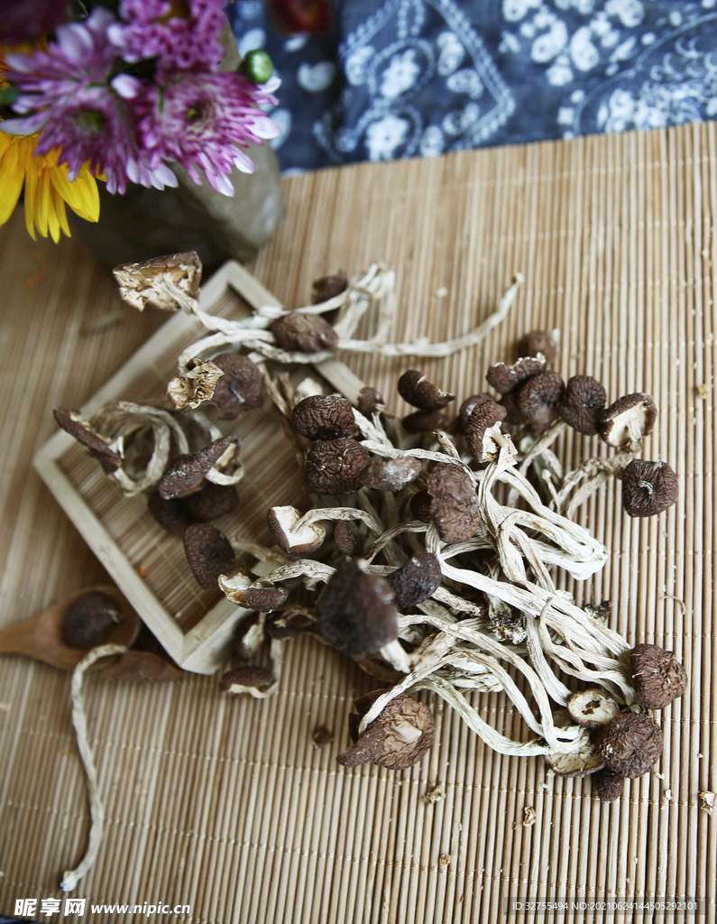 茶树菇