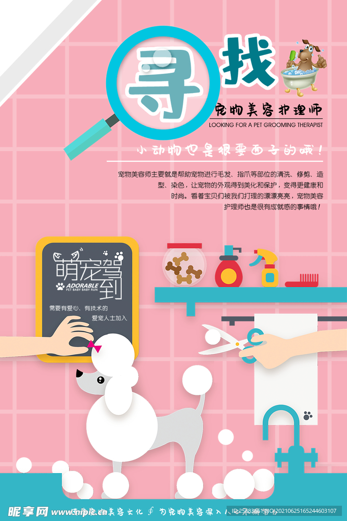 宠物美容护理师招聘