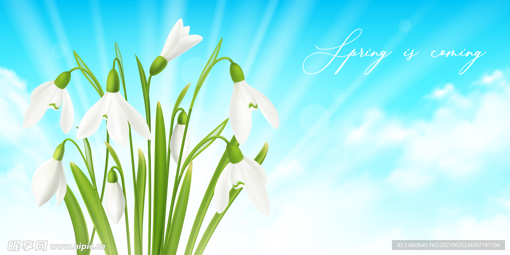 背景模板 展板背景      