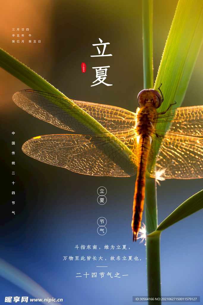 立夏节气传统活动宣传海报素材