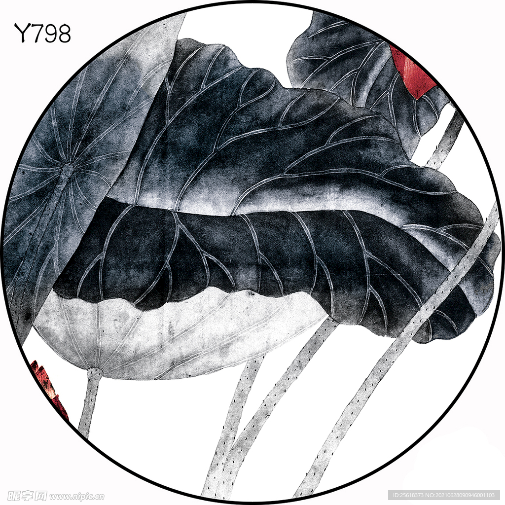 圆Y798