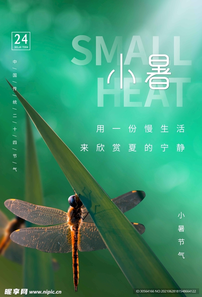 小暑节气传统活动宣传海报素材