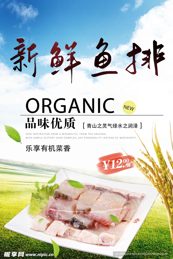 鲜鱼排