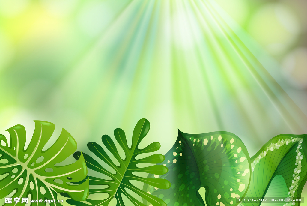 背景模板 展板背景      