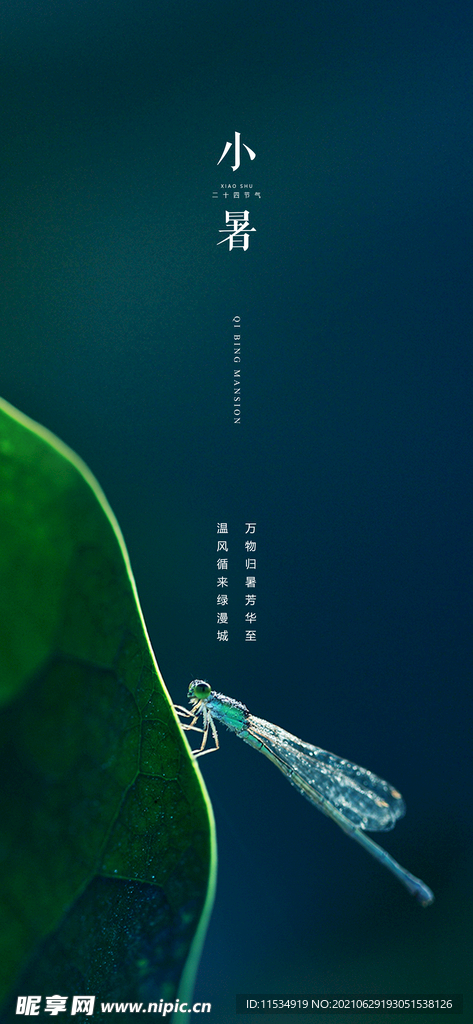 小暑节气海报
