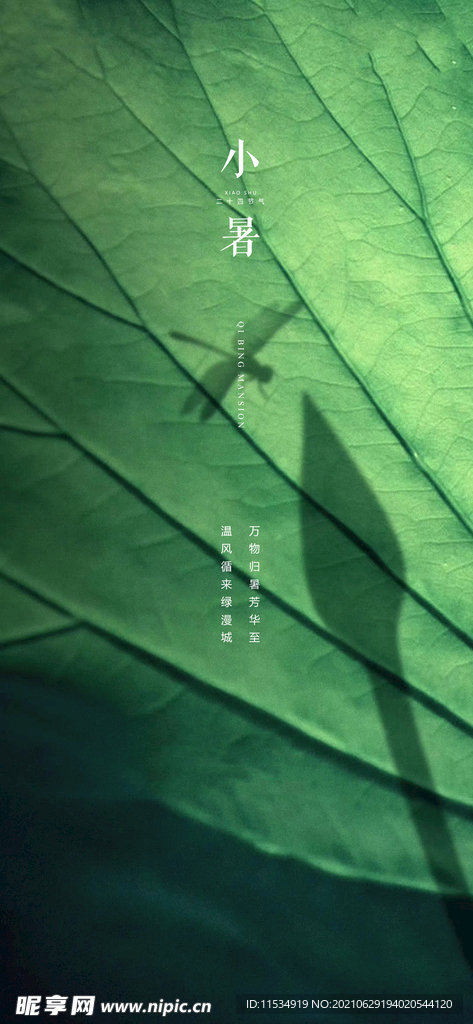 小暑节气海报