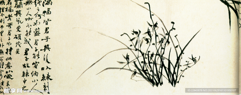 名家字画  