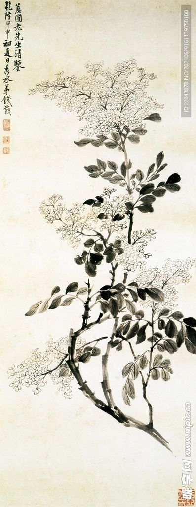 名家字画 