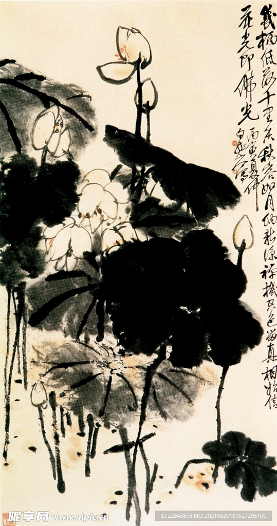 名家字画  