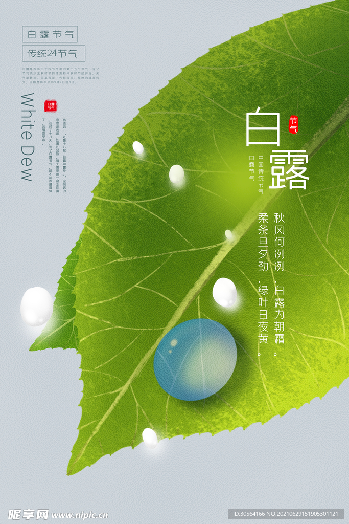 白露节气传统活动宣传海报素材