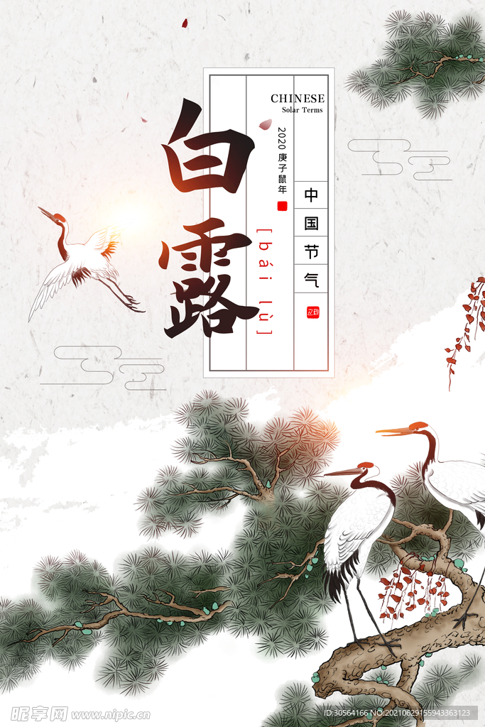 白露节气传统活动宣传海报素材