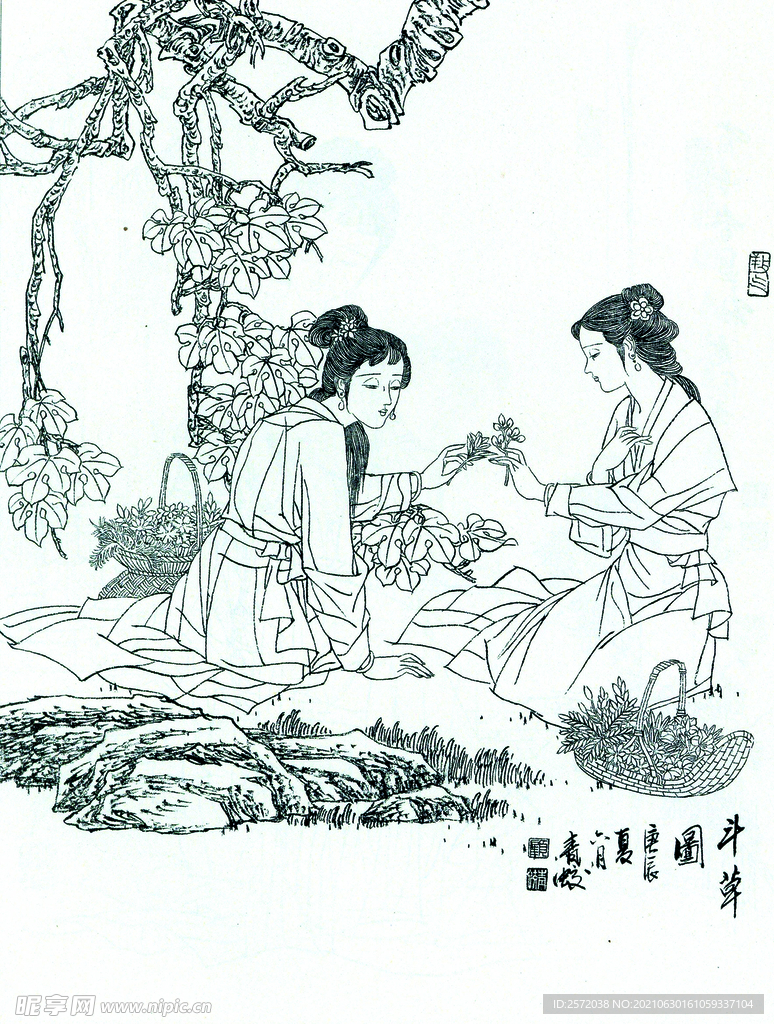 斗草图