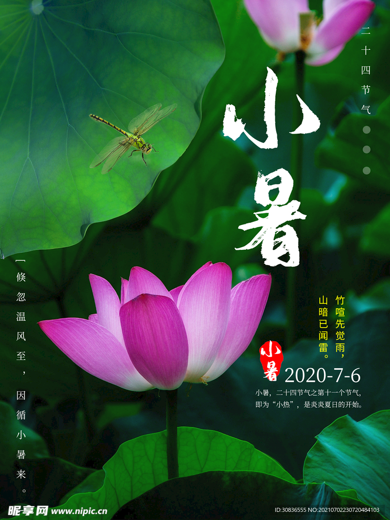 小暑海报 