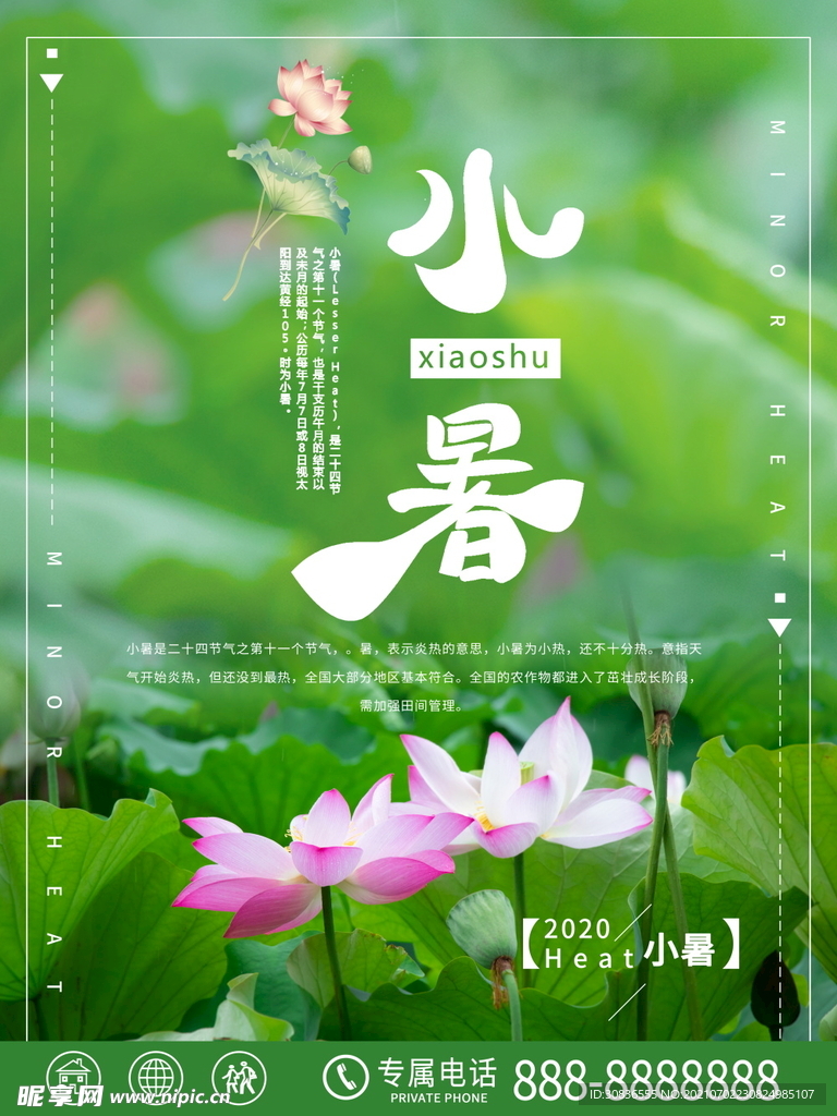 小暑海报 
