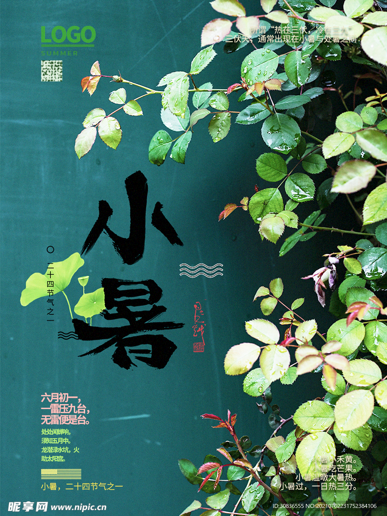 小暑海报 