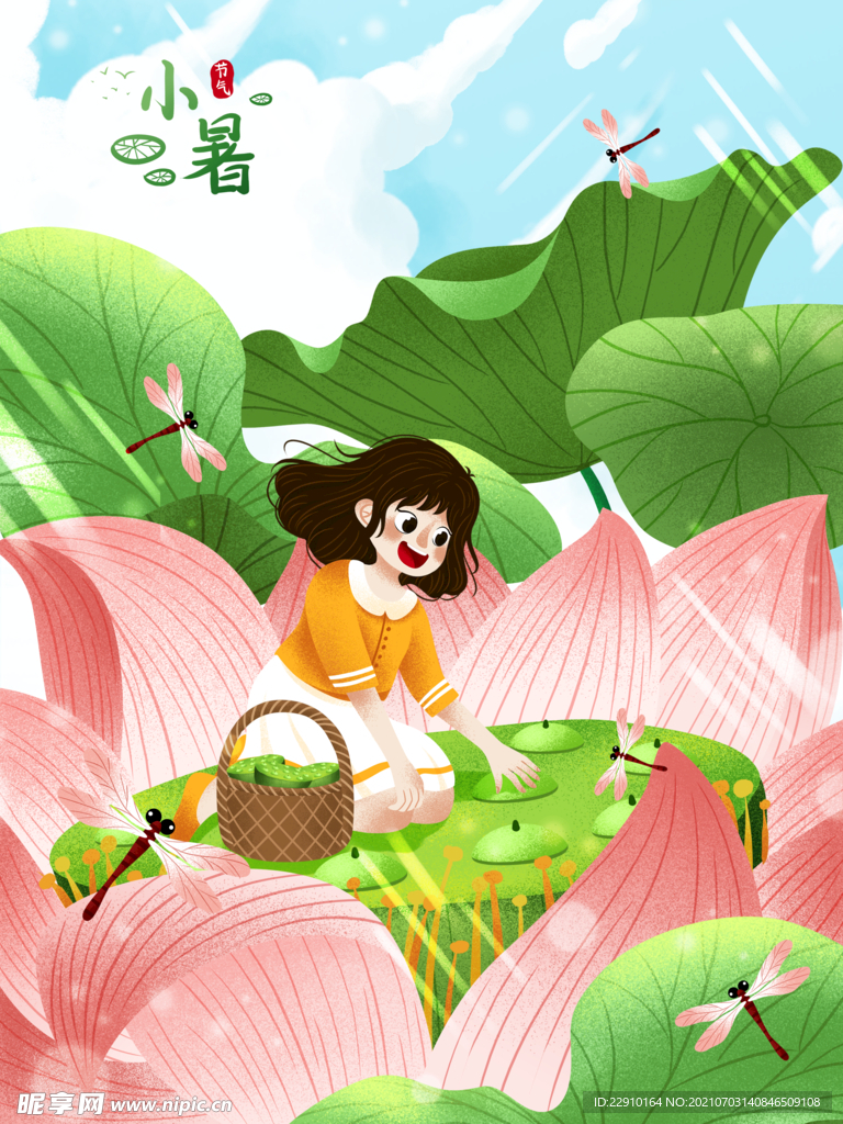 小暑插画 