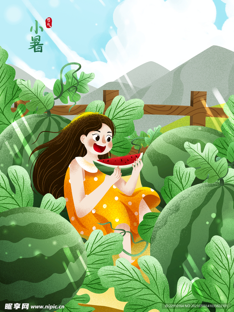小暑插画 