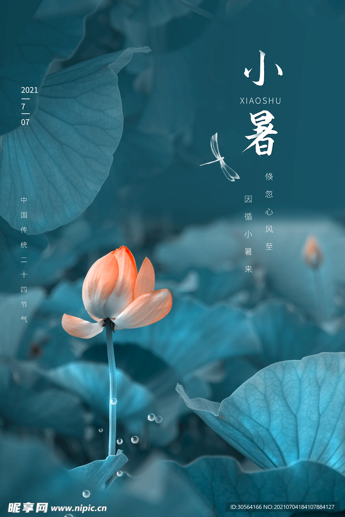 小暑节气传统活动宣传海报素材