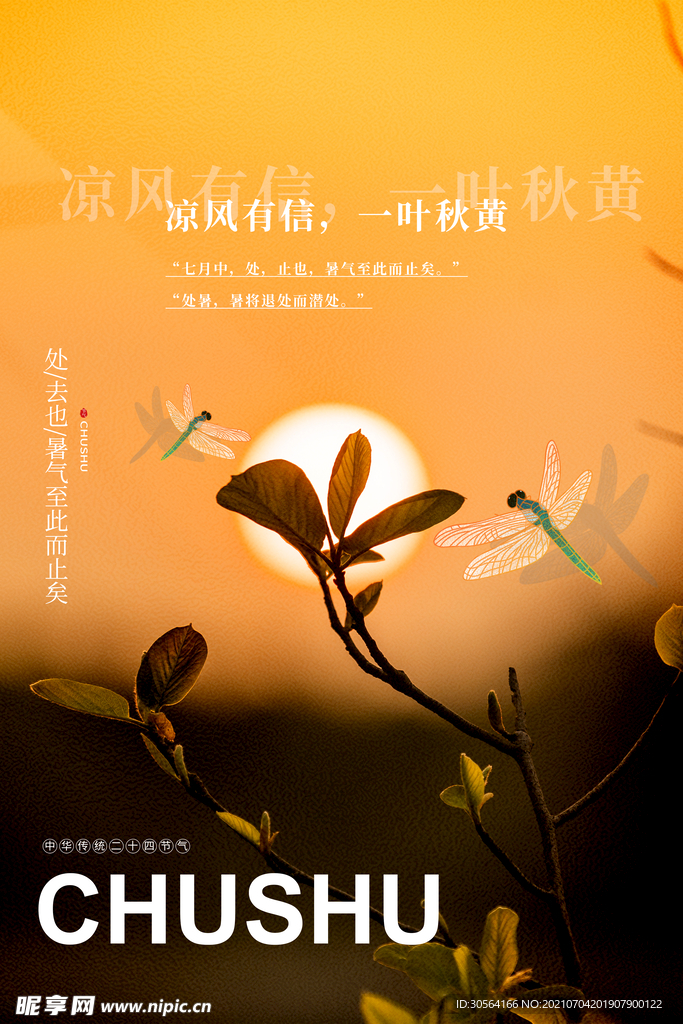 处暑节气活动宣传海报素材