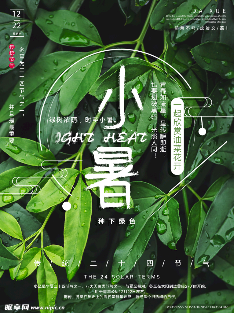 小暑海报 