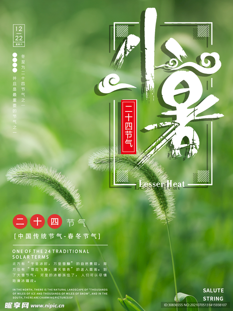 小暑海报 