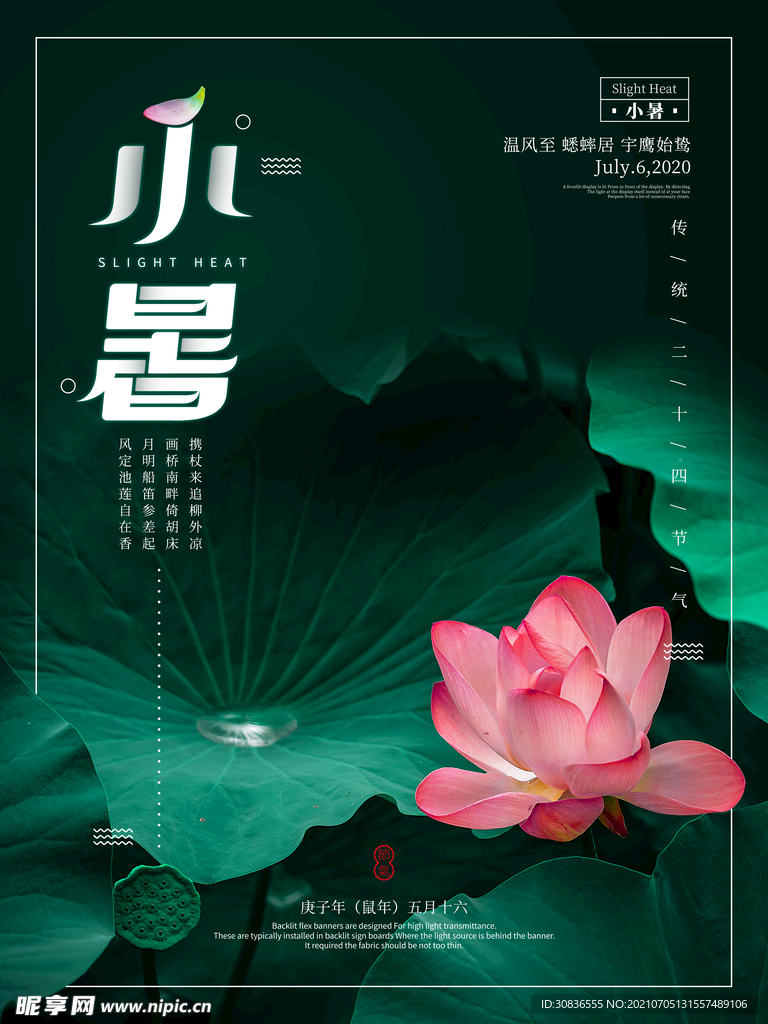 小暑海报 