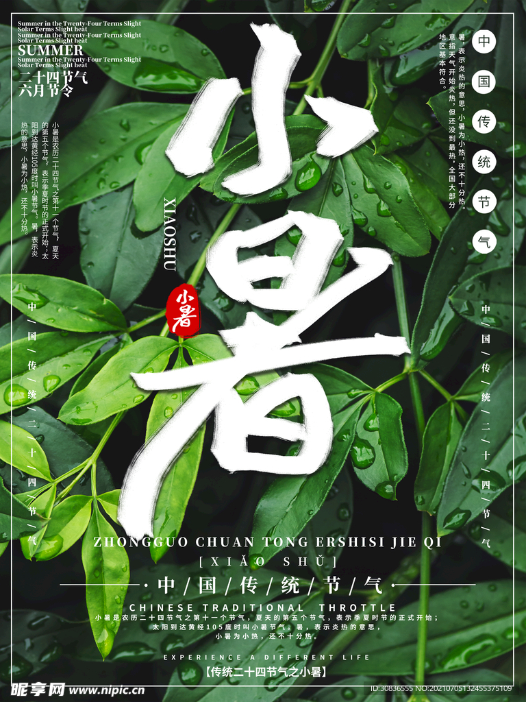 小暑海报 
