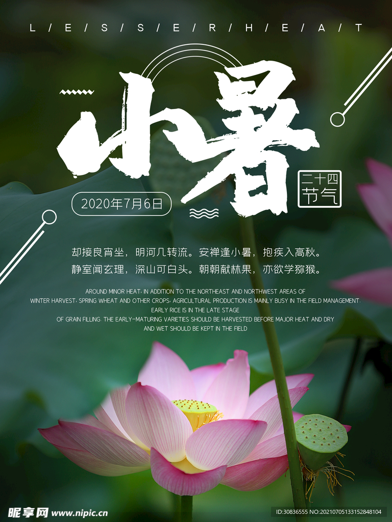 小暑海报 