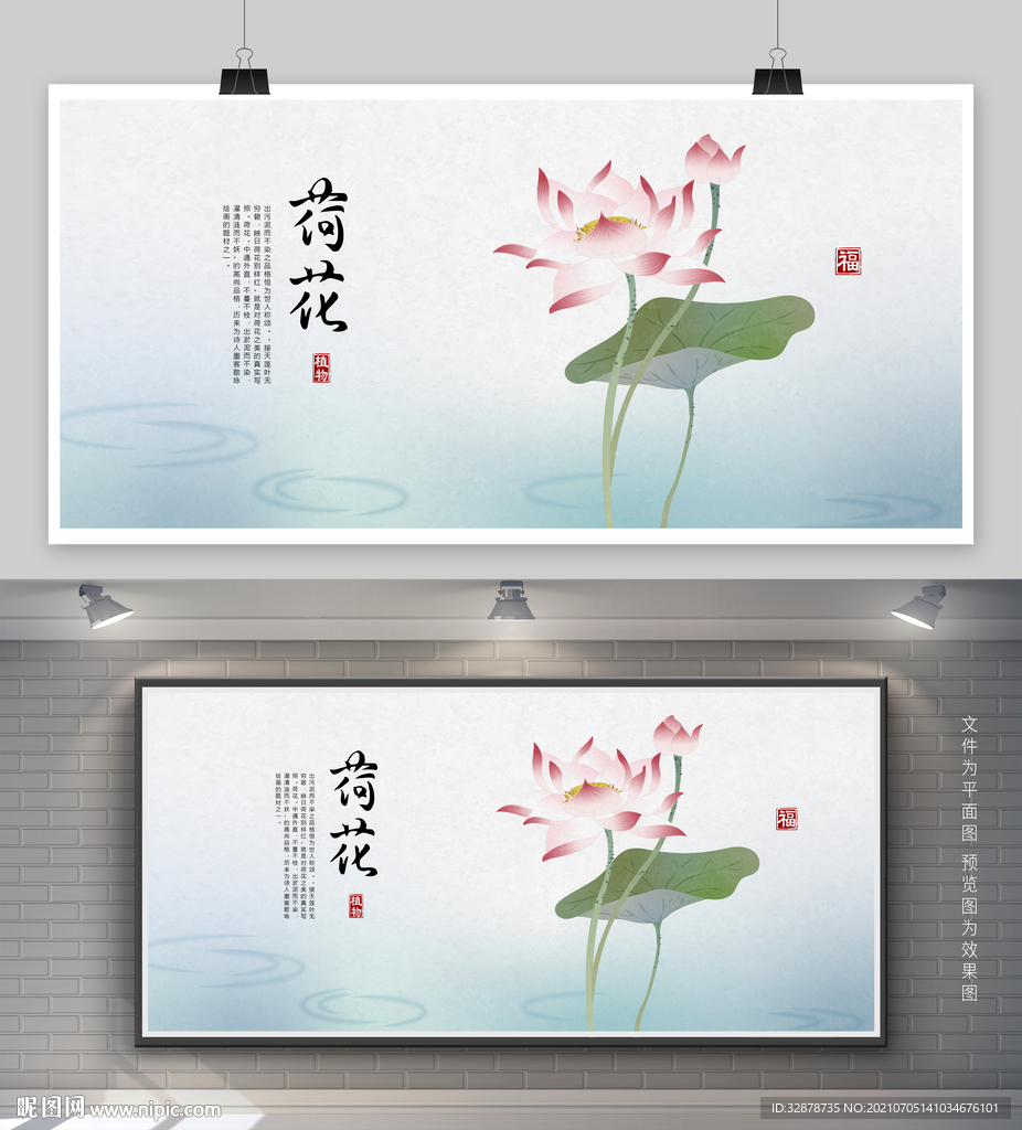 荷花