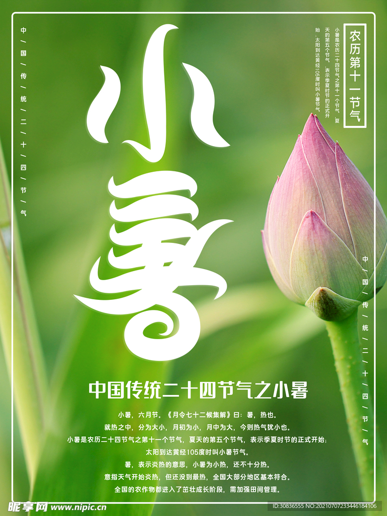 小暑海报 
